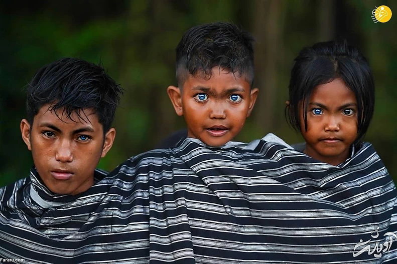 (تصاویر) (تصاویر)